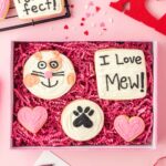 Valentine cut out cookies in a box with paper shreds. The cookies are decorated with a valentine cats theme.