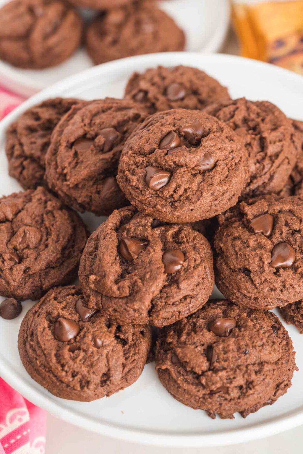 Double Chocolate Chip Cookies with Pudding Fun Cookie Recipes
