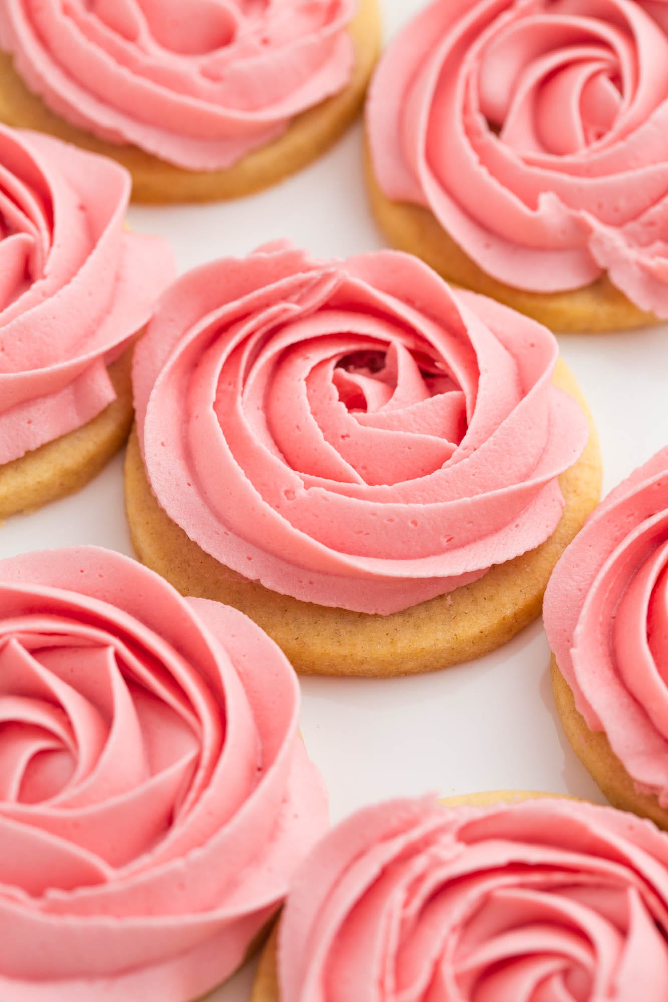 Buttercream pink roses piped on round sugar cookies
