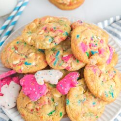 A plate holding circus animal pudding cookies and pink and white frosted animal cookies.