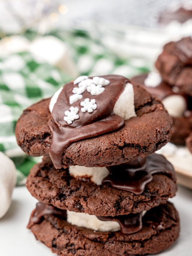 Hot Cocoa Cookies